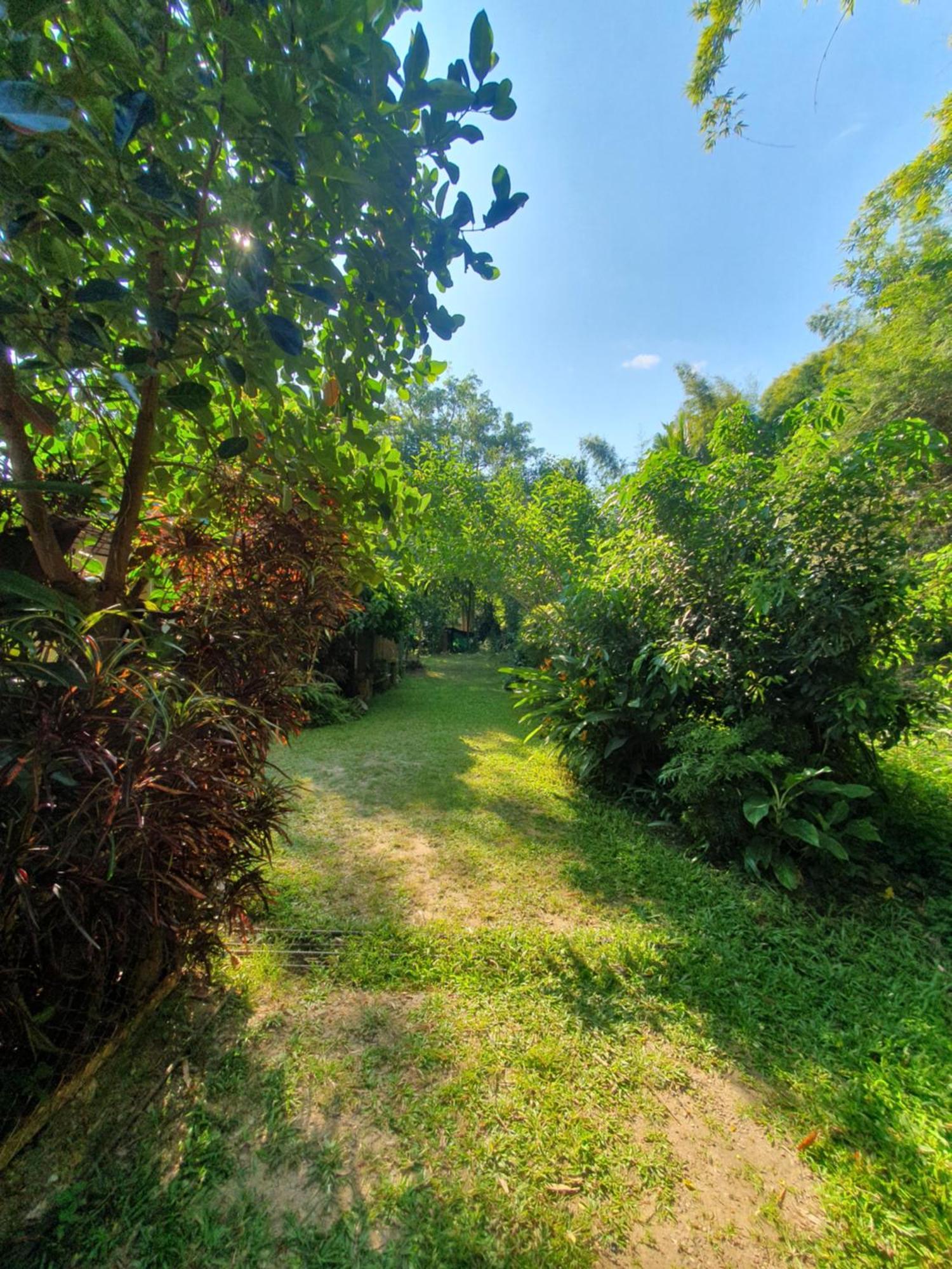Mind'S Homestay มายด์โฮมสเตย์ Kampong Huaibu Esterno foto